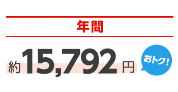 オカでん Aプラン